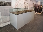 VITRINES PARA MUSEOLOGIA - MINISCALA.COM